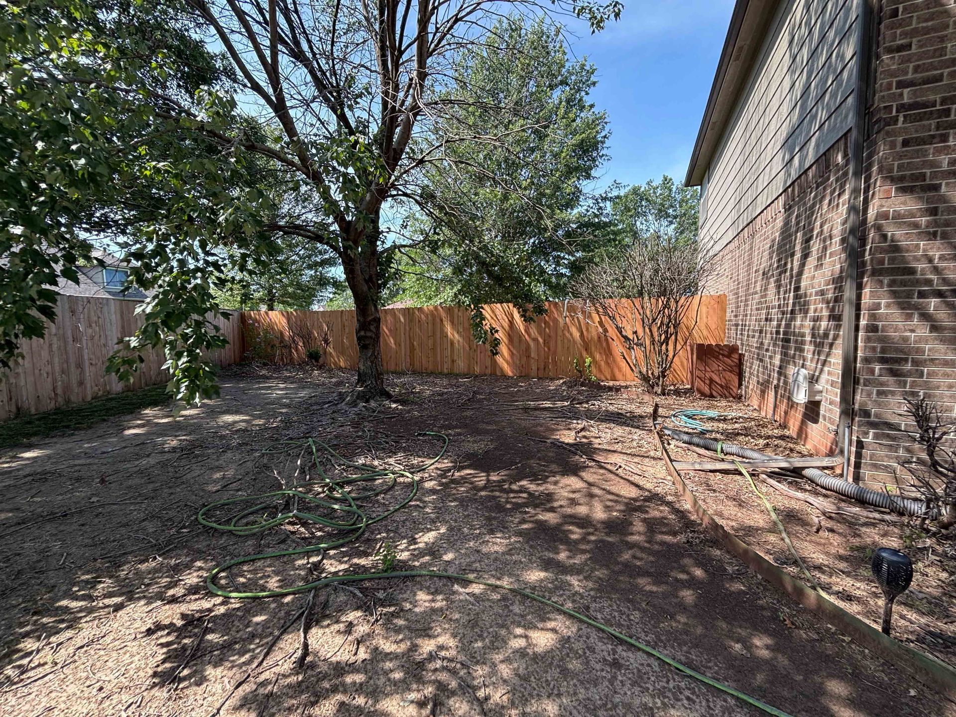 Backyard with bare dirt, a tree, and a wooden fence beside a brick house under a clear sky