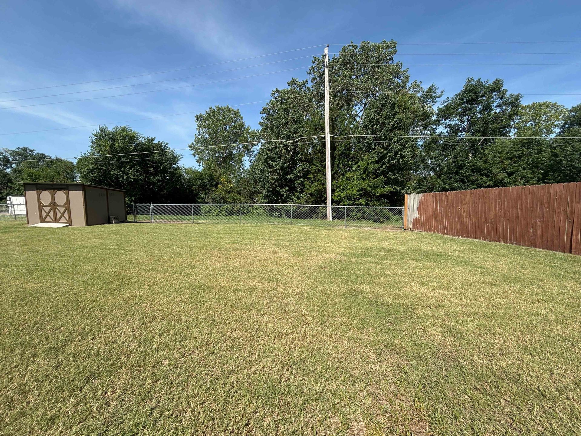 Grassy field with trees, a fence, and a small shed under a clear blue sky