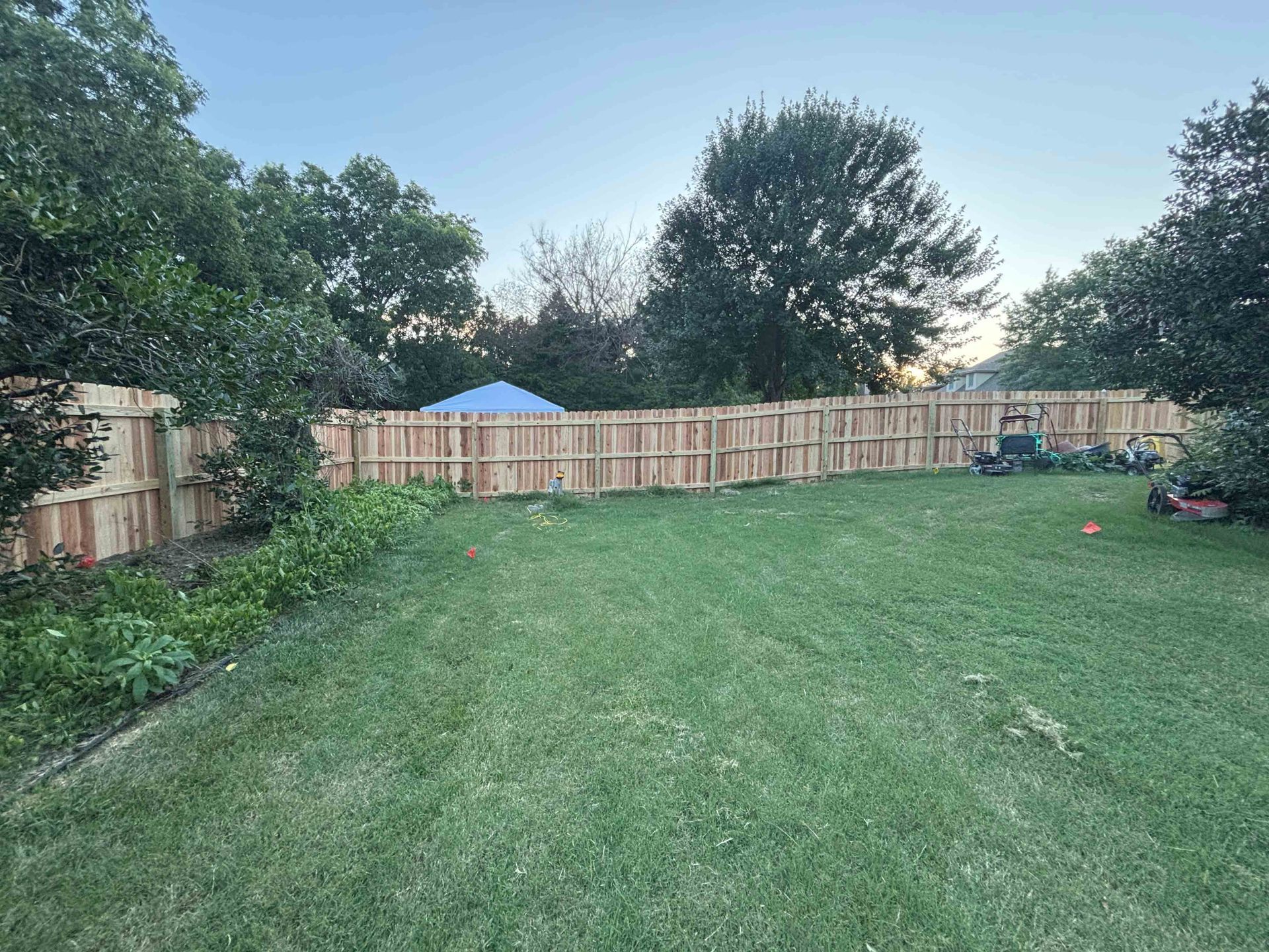 Backyard lawn with a wooden fence, trees, and a blue patio umbrella in the distance