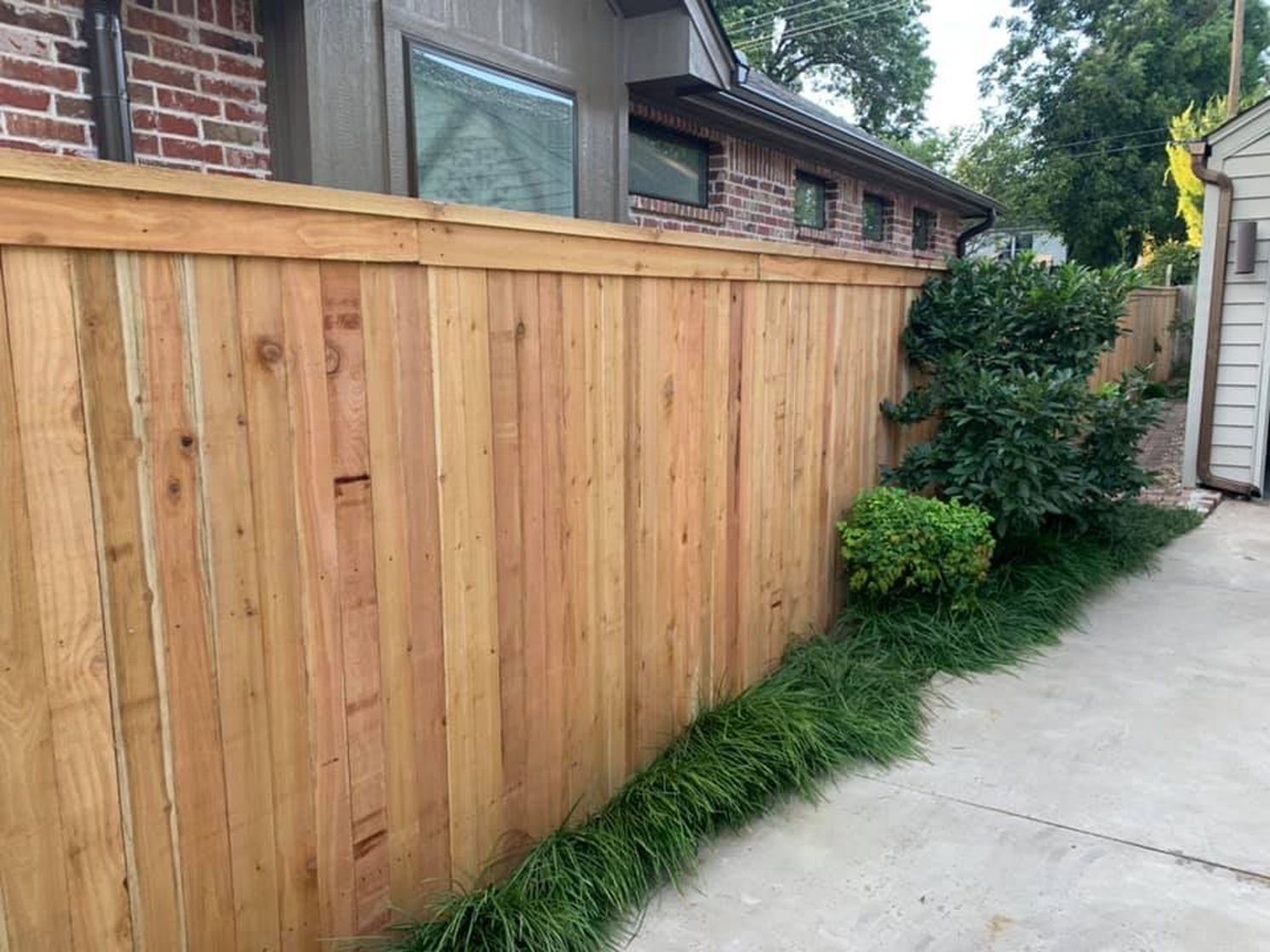Wooden privacy fence beside a concrete driveway, with shrubs and a house in the background