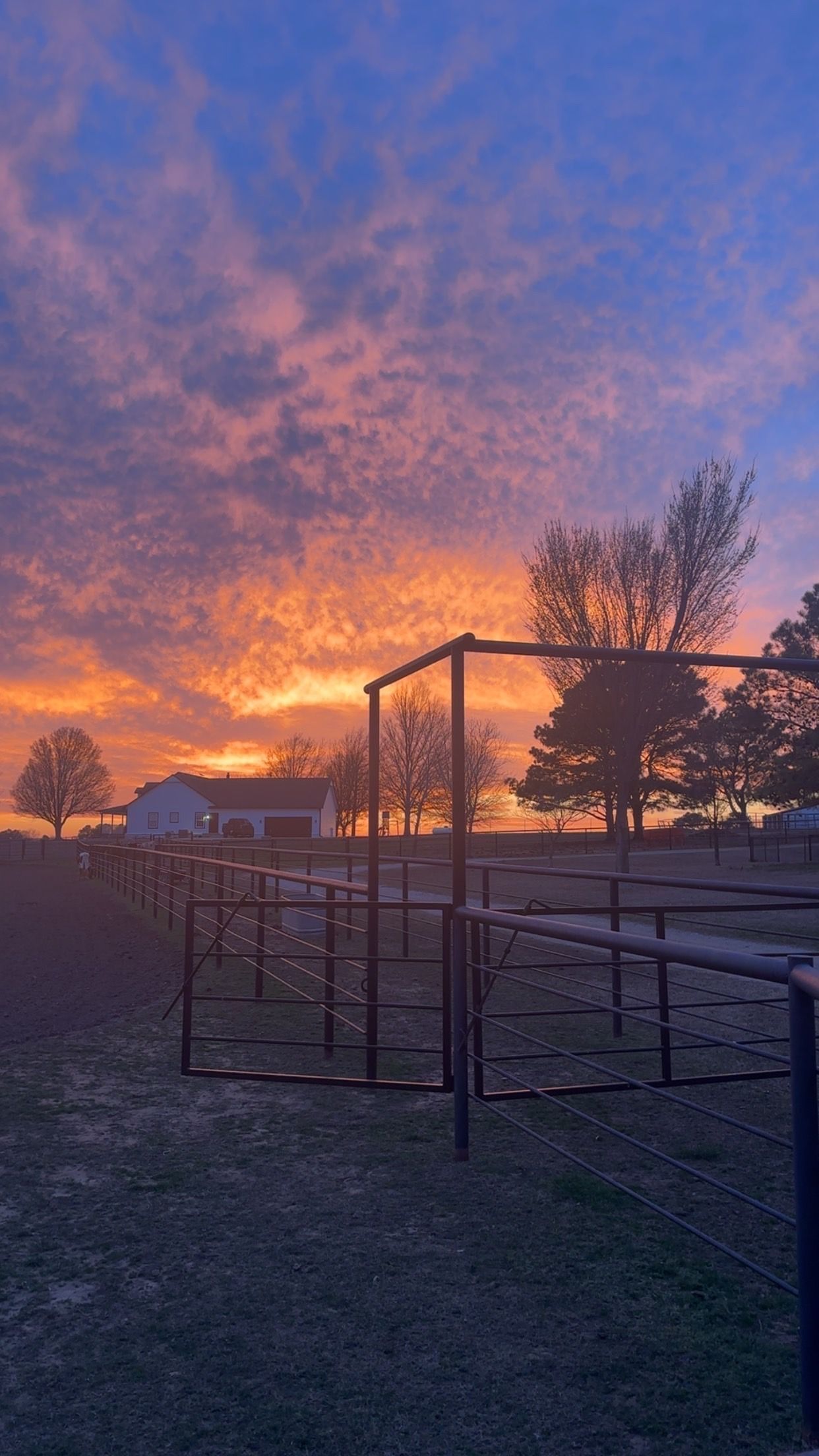 Sunset over a fenced rural field, with orange clouds and silhouetted trees and buildings.