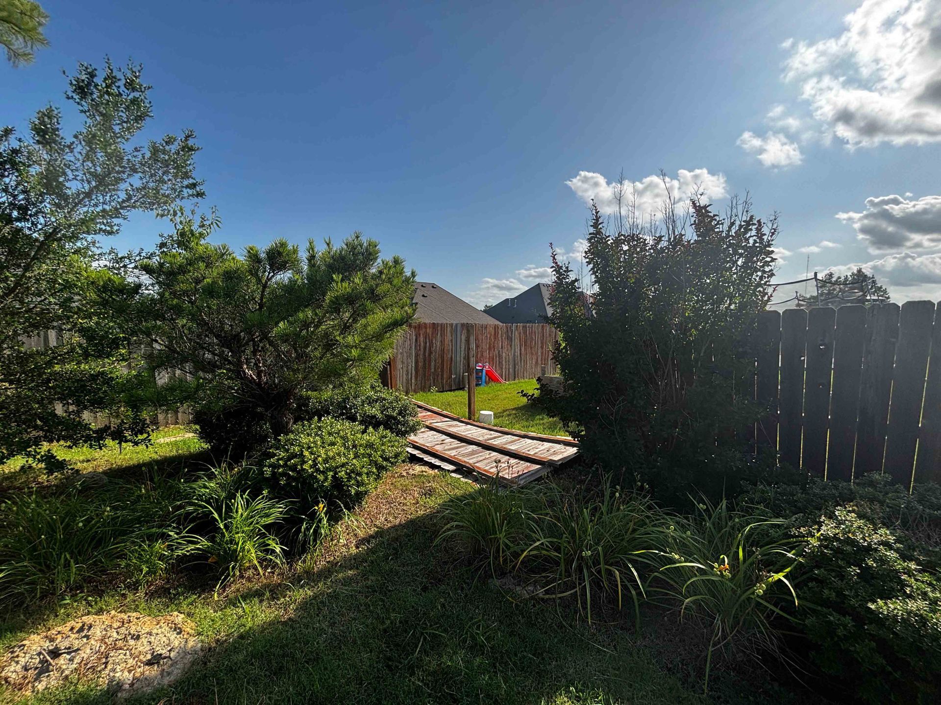 Sunny backyard garden with green shrubs, stepping stones, and a wooden fence under a blue sky