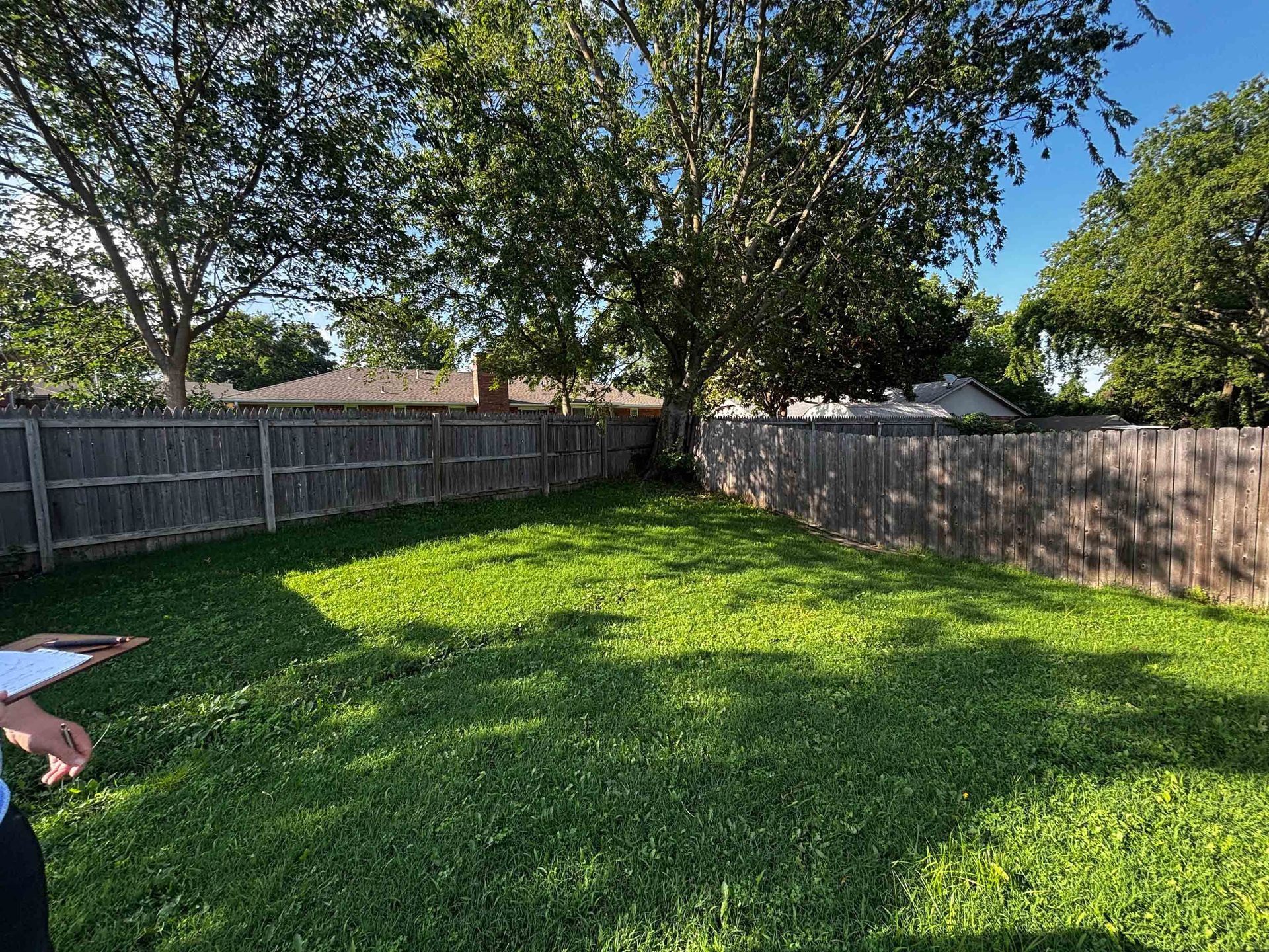Sunny backyard with green grass, wooden fences, and trees under a blue sky