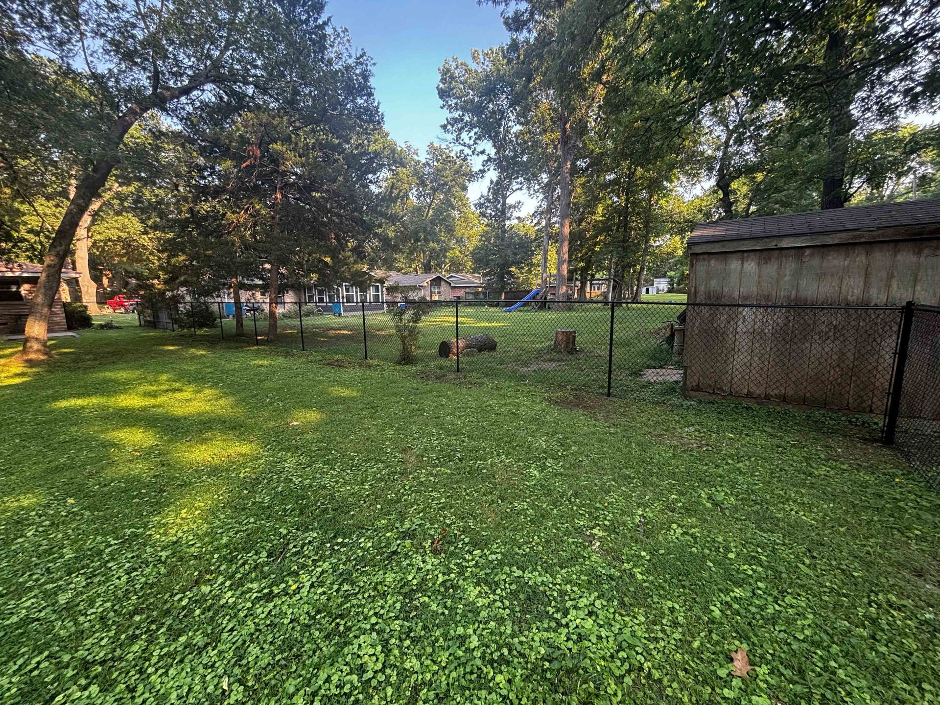 Grassy park with trees, a chain-link fence, and a small wooden shed in the background