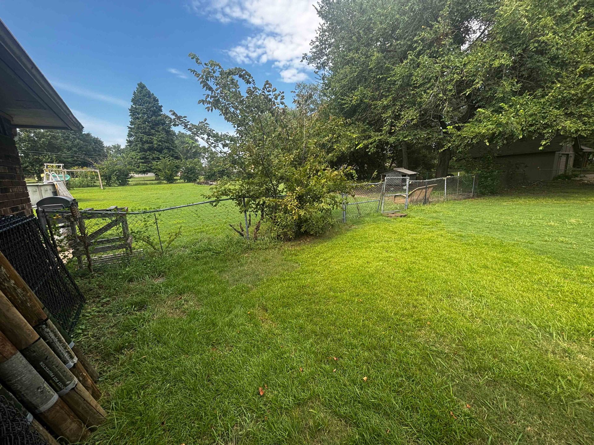 Sunny backyard lawn with a tree, shrubs, and a patio chair by a house