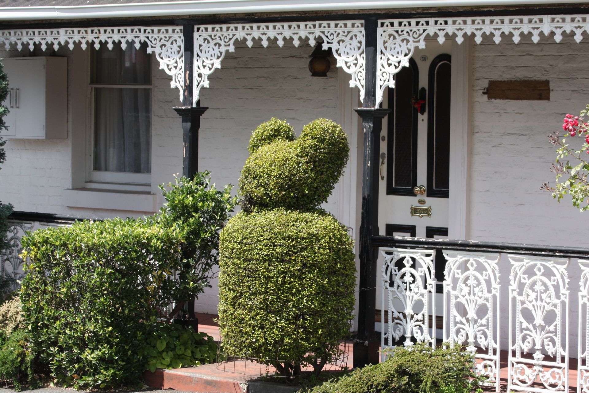 View of an Australian home with a shaped busch in front.