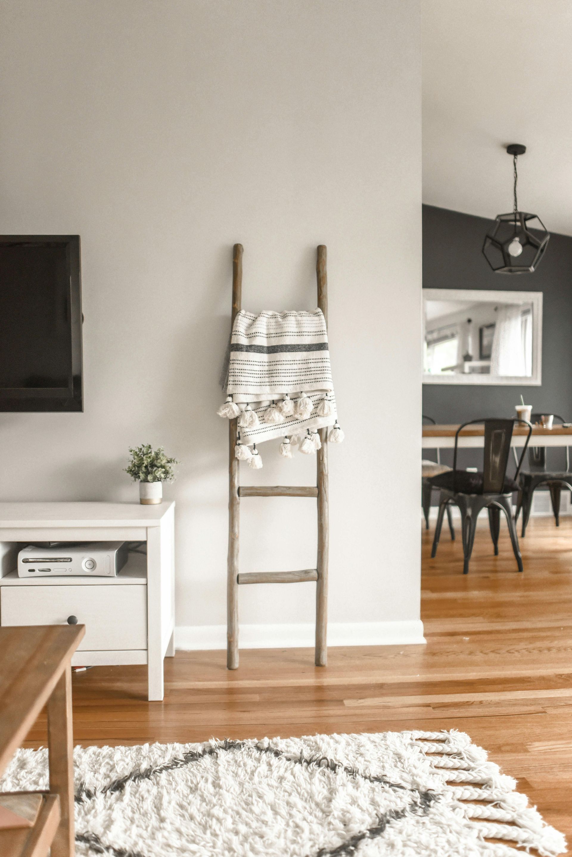 A living room with a ladder hanging on the wall and a rug painted by Zippy Coats.