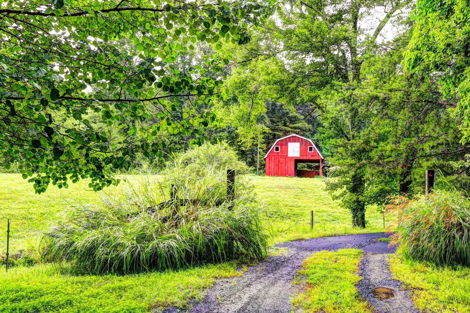 A Red Barn Sits In The Middle Of A Grassy Field - Clemmons, NC - Jetco Septic Service