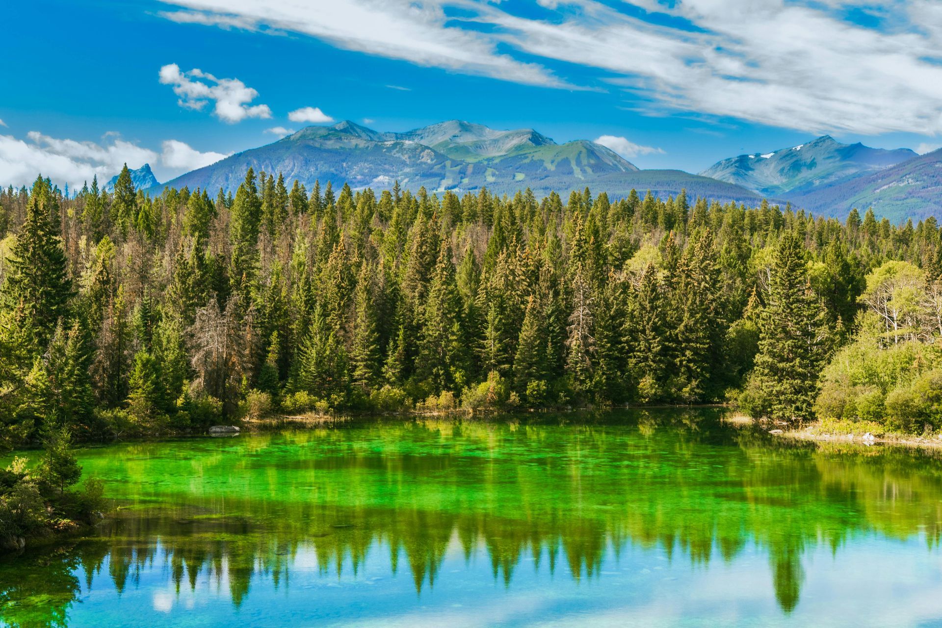a man is carrying a bag of trash next to a garbage truck .