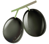 black olive icon
