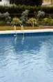 Blue swimming pool with two fountain jets and landscaped greenery in the background