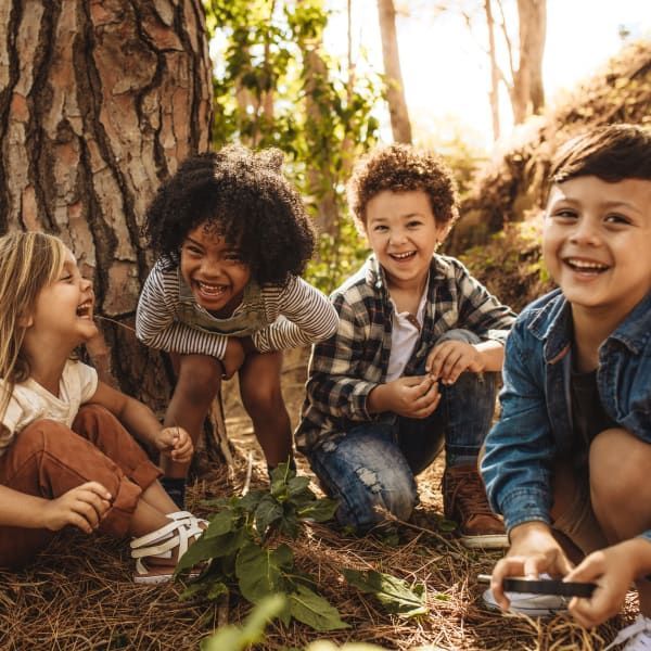 Four children laughing and playing near a tree in a sunny forest setting.