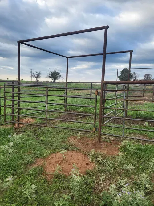 Metal cattle pens in a grassy field under a cloudy sky.