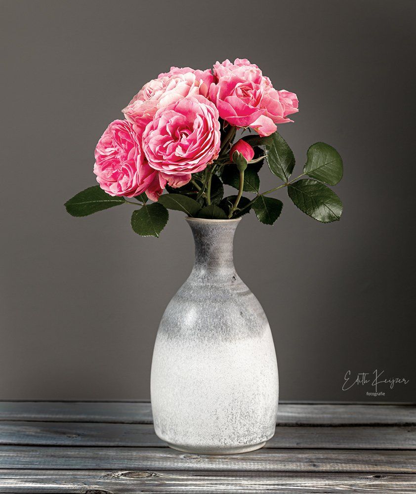 Vaas Frederike Kruse