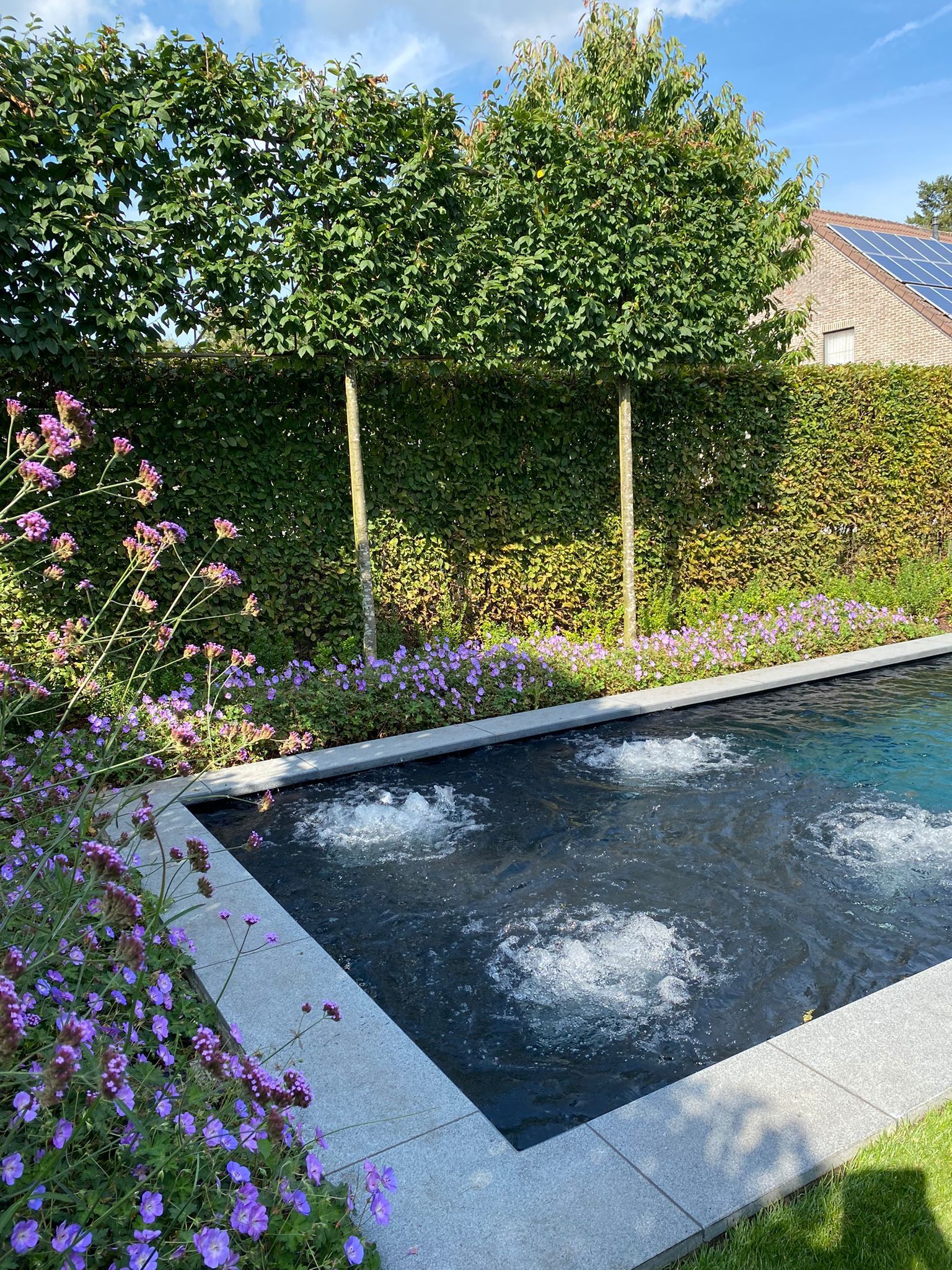 Een zwembad in een tuin waar bubbels uit komen.