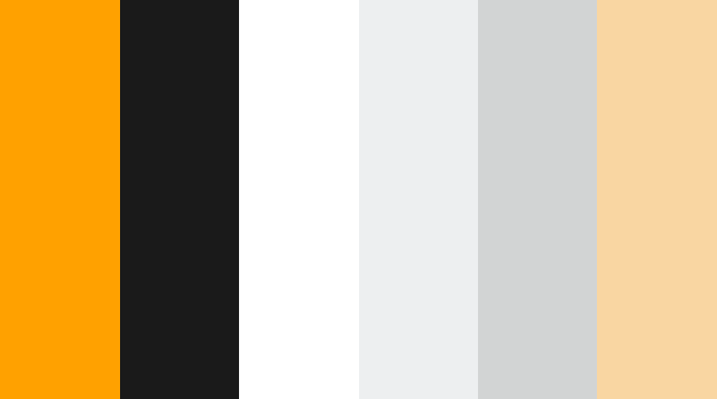 Color palette of orange, black, white, light gray, and peach.
