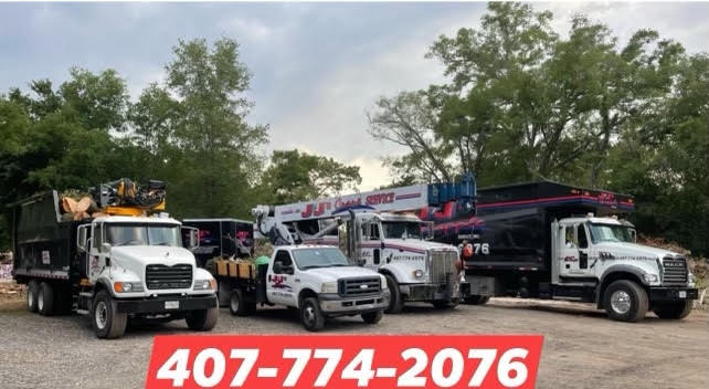 Tree Removals Orlando Apopka