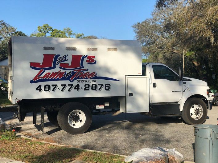 Tree Services & Removals Orlando Apopka