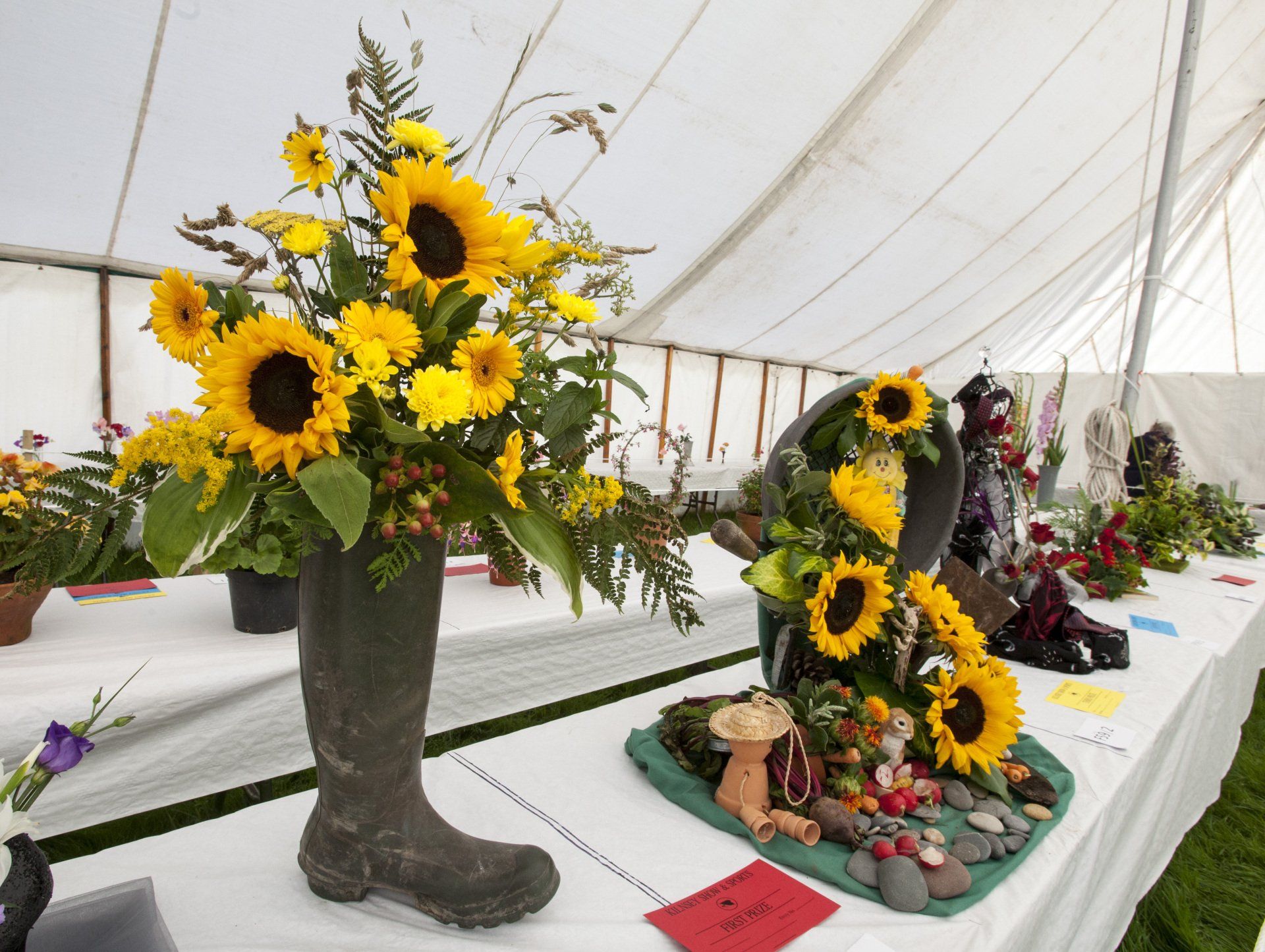 Horticultural tent 2015 by Steve Garnett