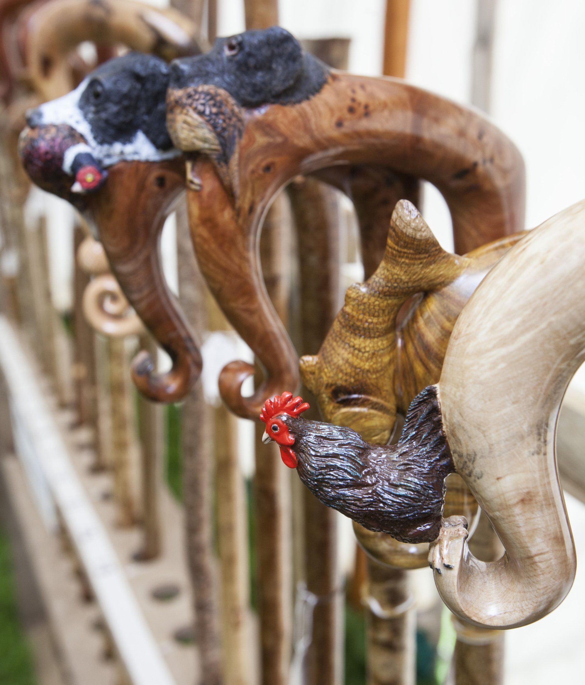 Walking sticks: Photo by Steven Garnett