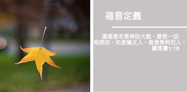 A golden maple leaf floating in front of a blurred background with text about the definition of the gospel.