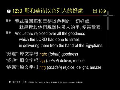 A presentation slide with Chinese and English text about faith and law, along with Greek word roots.
