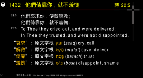 A presentation slide with Chinese and English text about faith and law, along with Greek word roots.