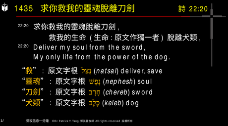 A presentation slide with Chinese and English text about faith and law, along with Greek word roots.