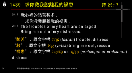 A presentation slide with Chinese and English text about faith and law, along with Greek word roots.