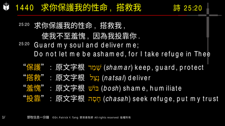 A presentation slide with Chinese and English text about faith and law, along with Greek word roots.