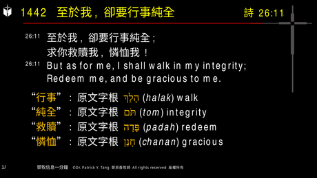 A presentation slide with Chinese and English text about faith and law, along with Greek word roots.