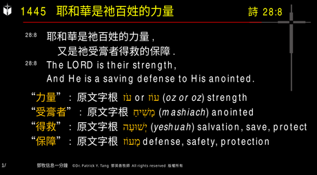 A presentation slide with Chinese and English text about faith and law, along with Greek word roots.
