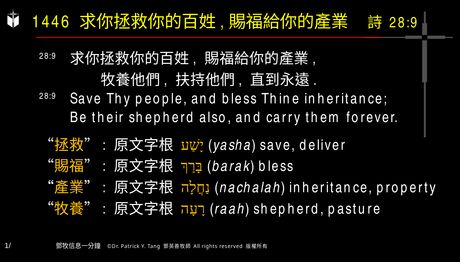 A presentation slide with Chinese and English text about faith and law, along with Greek word roots.