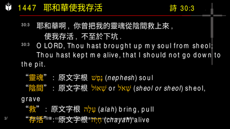 A presentation slide with Chinese and English text about faith and law, along with Greek word roots.