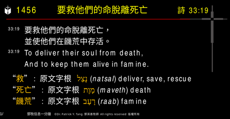 A presentation slide with Chinese and English text about faith and law, along with Greek word roots.