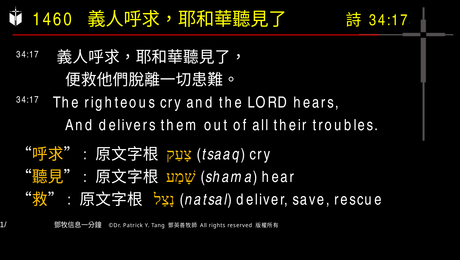 A presentation slide with Chinese and English text about faith and law, along with Greek word roots.