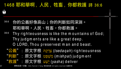 A presentation slide with Chinese and English text about faith and law, along with Greek word roots.