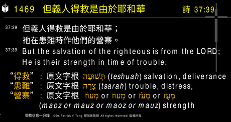 A presentation slide with Chinese and English text about faith and law, along with Greek word roots.