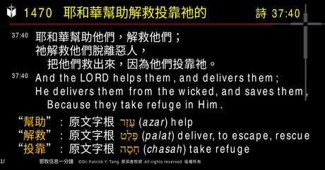 A presentation slide with Chinese and English text about faith and law, along with Greek word roots.