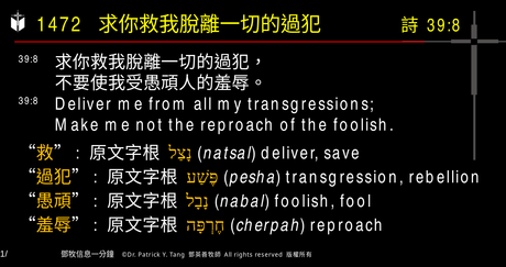 A presentation slide with Chinese and English text about faith and law, along with Greek word roots.