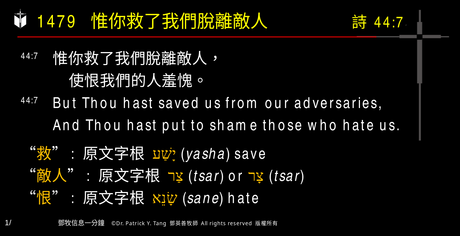 A presentation slide with Chinese and English text about faith and law, along with Greek word roots.