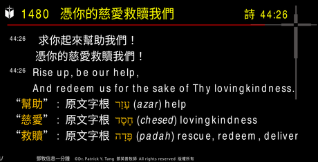 A presentation slide with Chinese and English text about faith and law, along with Greek word roots.
