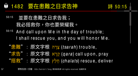 A presentation slide with Chinese and English text about faith and law, along with Greek word roots.