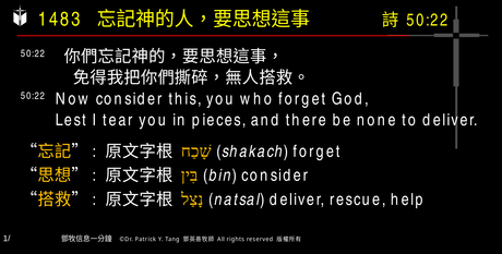 A presentation slide with Chinese and English text about faith and law, along with Greek word roots.