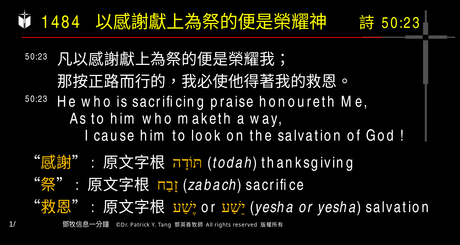 A presentation slide with Chinese and English text about faith and law, along with Greek word roots.