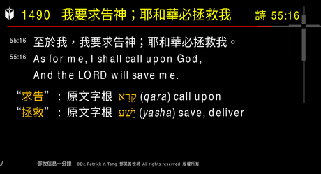 A presentation slide with Chinese and English text about faith and law, along with Greek word roots.