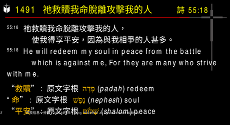 A presentation slide with Chinese and English text about faith and law, along with Greek word roots.