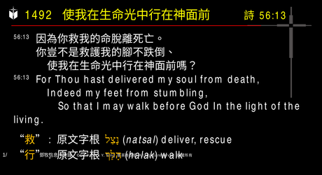 A presentation slide with Chinese and English text about faith and law, along with Greek word roots.
