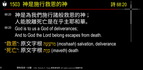 A presentation slide with Chinese and English text about faith and law, along with Greek word roots.