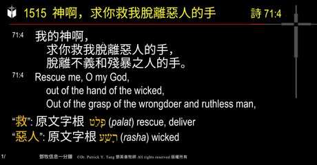 A presentation slide with Chinese and English text about faith and law, along with Greek word roots.